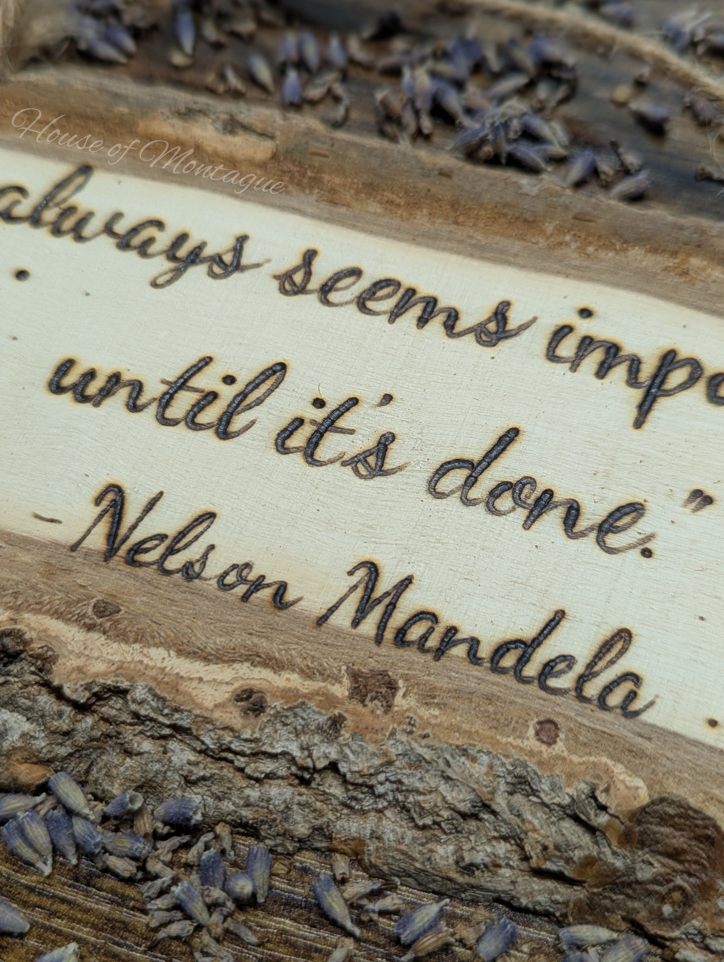 Nelson Mandela Quote