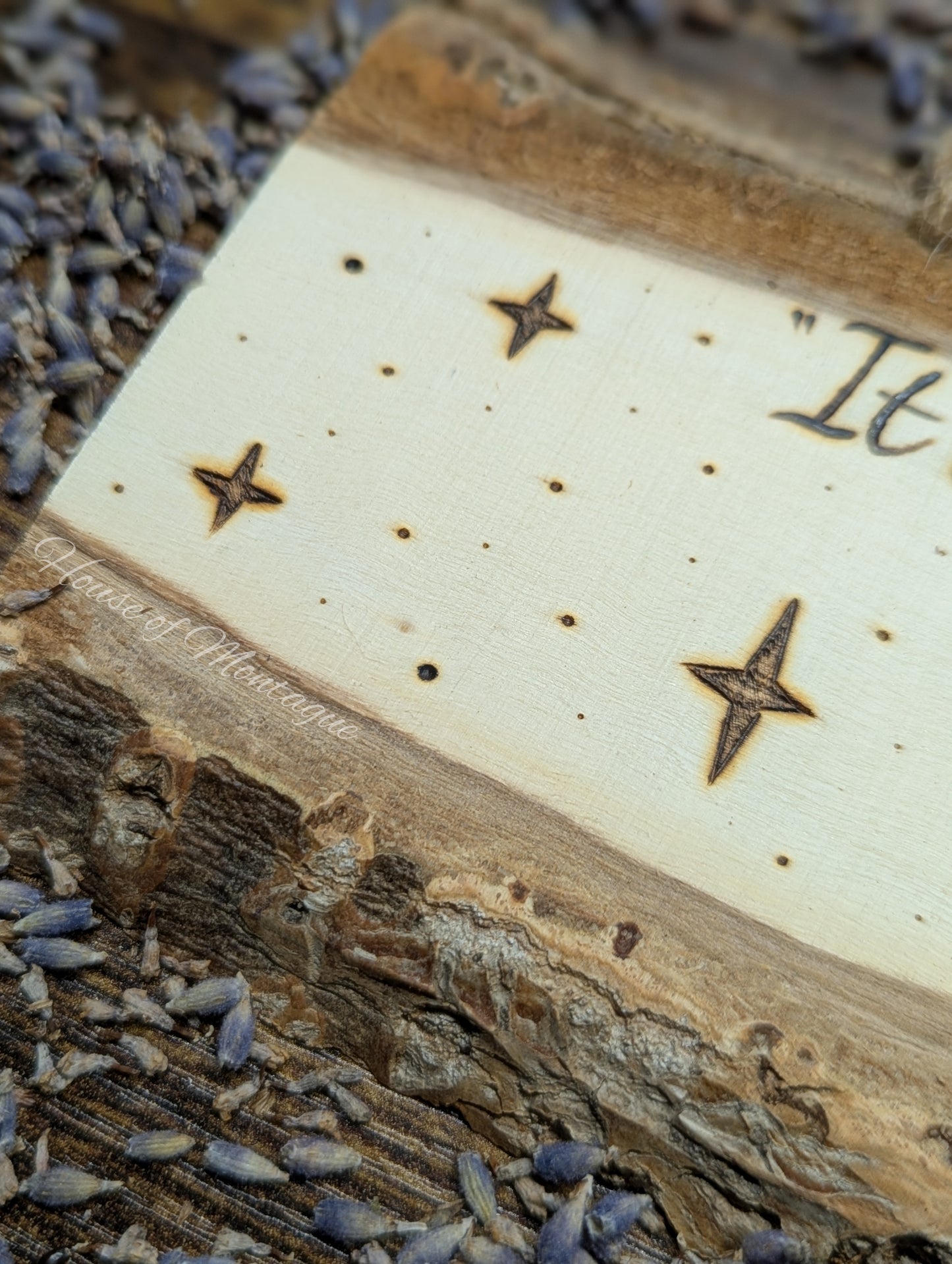 Nelson Mandela Quote